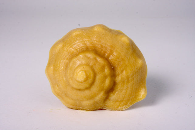 Shell - Tropical Beach with Loofah