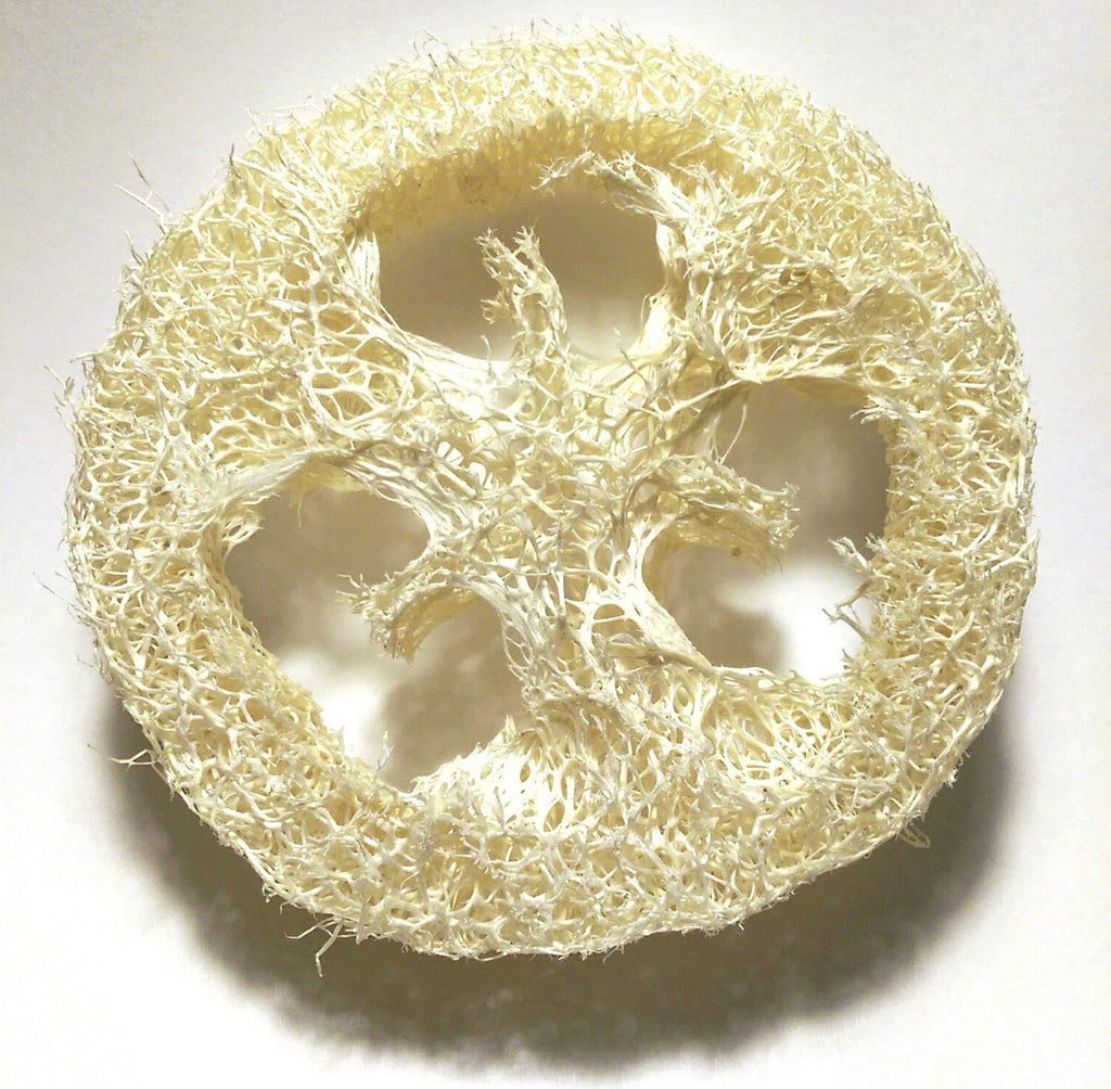 Individual Loofah Round